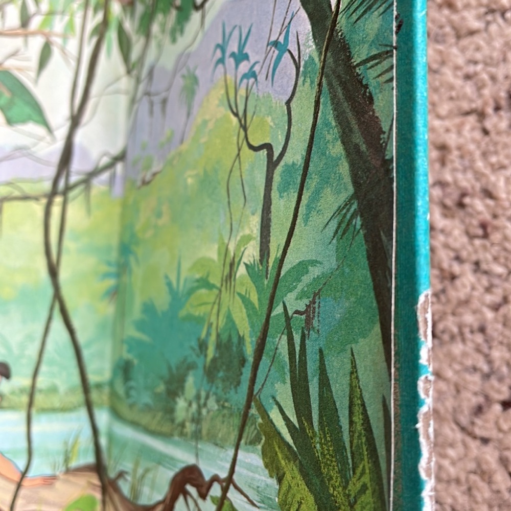The Jungle Book - Picture 10 of 10